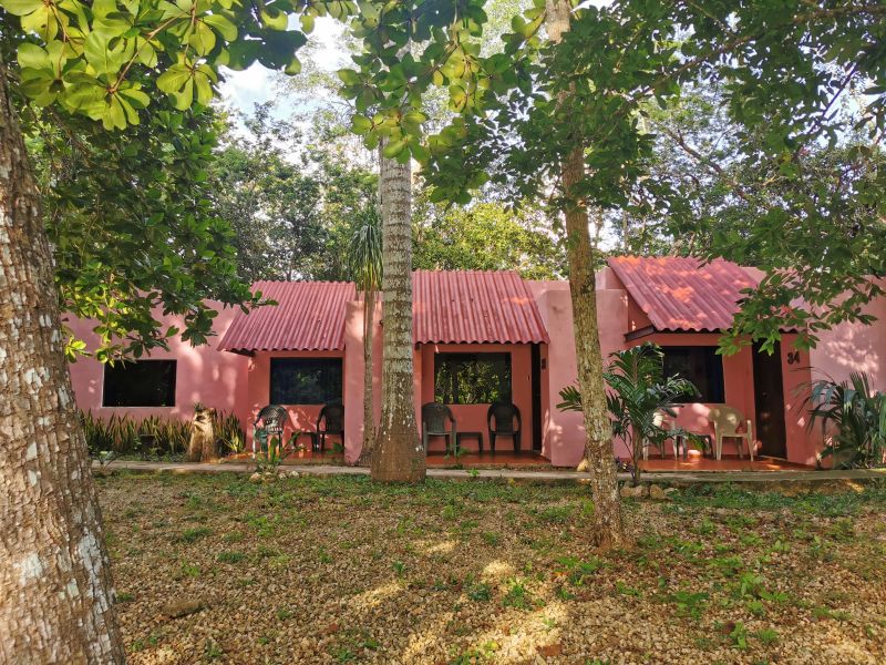 Naturally shaded bungalows